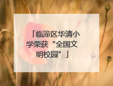 临潼区华清小学荣获“全国文明校园”