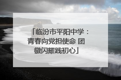 临汾市平阳中学：青春向党担使命 团徽闪耀践初心