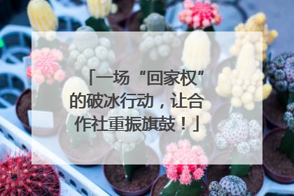 一场“回家权”的破冰行动，让合作社重振旗鼓！