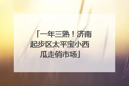 一年三熟！济南起步区太平宝小西瓜走俏市场
