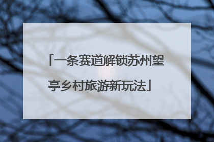 一条赛道解锁苏州望亭乡村旅游新玩法