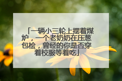 一辆小三轮上摆着煤炉，一个老奶奶在压葱包桧，曾经的你是否穿着校服等着吃