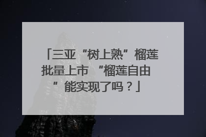 三亚“树上熟”榴莲批量上市 “榴莲自由”能实现了吗？