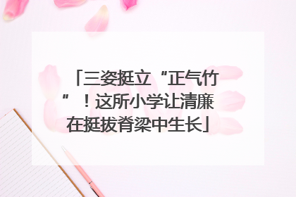 三姿挺立“正气竹”！这所小学让清廉在挺拔脊梁中生长