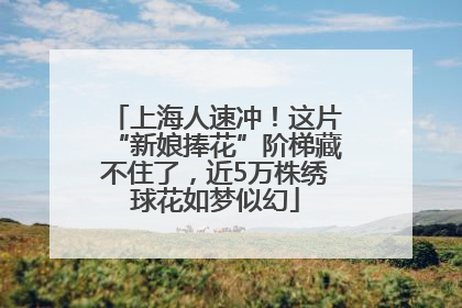 上海人速冲！这片“新娘捧花”阶梯藏不住了，近5万株绣球花如梦似幻
