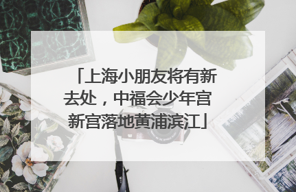 上海小朋友将有新去处，中福会少年宫新宫落地黄浦滨江