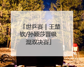 世乒赛｜王楚钦/孙颖莎晋级混双决赛