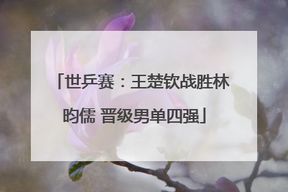 世乒赛：王楚钦战胜林昀儒 晋级男单四强