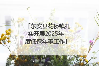 东安县花桥镇扎实开展2025年度低保年审工作