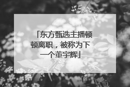 东方甄选主播顿顿离职，被称为下一个董宇辉
