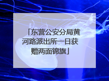 东营公安分局黄河路派出所一日获赠两面锦旗