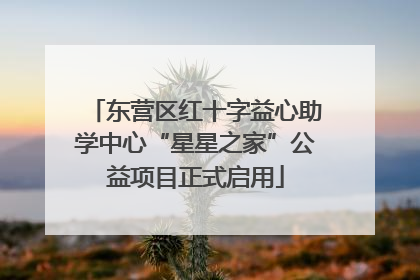 东营区红十字益心助学中心“星星之家”公益项目正式启用