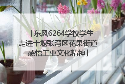 东风6264学校学生走进十堰张湾区花果街道感悟工业文化精神