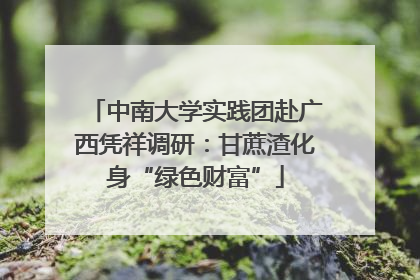 中南大学实践团赴广西凭祥调研：甘蔗渣化身“绿色财富”