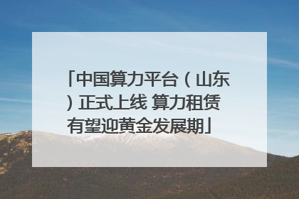 中国算力平台（山东）正式上线 算力租赁有望迎黄金发展期