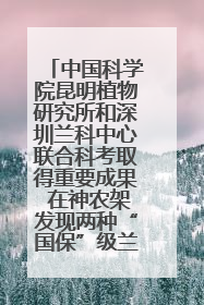 中国科学院昆明植物研究所和深圳兰科中心联合科考取得重要成果 在神农架发现两种“国保”级兰花