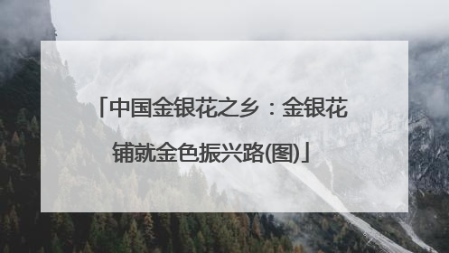 中国金银花之乡：金银花铺就金色振兴路(图)