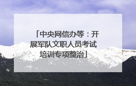 中央网信办等：开展军队文职人员考试培训专项整治