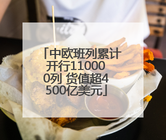 中欧班列累计开行110000列 货值超4500亿美元