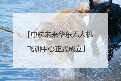 中航未来华东无人机飞训中心正式成立