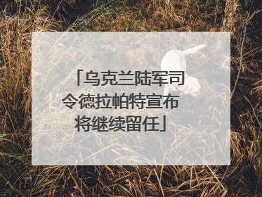 乌克兰陆军司令德拉帕特宣布将继续留任