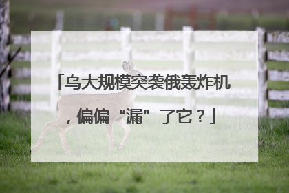 乌大规模突袭俄轰炸机，偏偏“漏”了它？