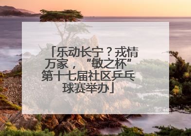 乐动长宁？戎情万家，“敏之杯”第十七届社区乒乓球赛举办