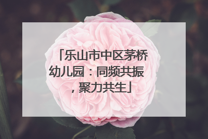 乐山市中区茅桥幼儿园：同频共振，聚力共生