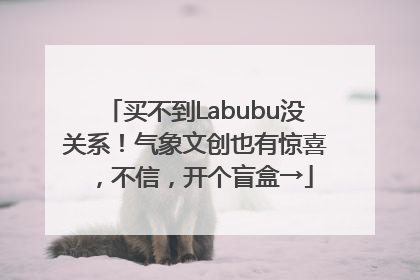 买不到Labubu没关系！气象文创也有惊喜，不信，开个盲盒→