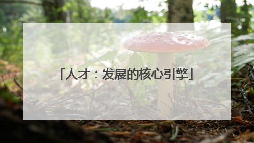 人才：发展的核心引擎
