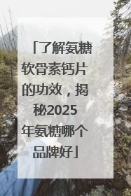 了解氨糖软骨素钙片的功效，揭秘2025年氨糖哪个品牌好