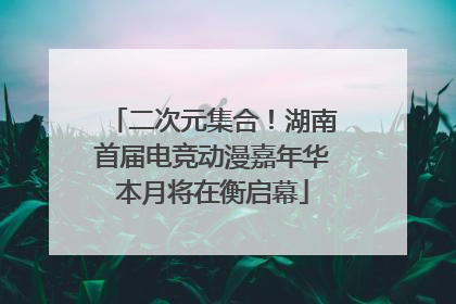 二次元集合！湖南首届电竞动漫嘉年华本月将在衡启幕