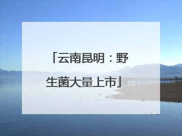 云南昆明：野生菌大量上市
