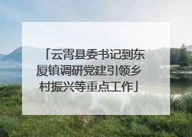 云霄县委书记到东厦镇调研党建引领乡村振兴等重点工作