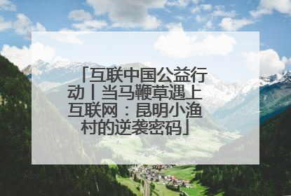 互联中国公益行动丨当马鞭草遇上互联网：昆明小渔村的逆袭密码