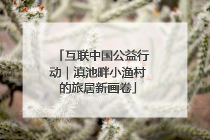 互联中国公益行动｜滇池畔小渔村的旅居新画卷