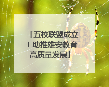 五校联盟成立！助推雄安教育高质量发展