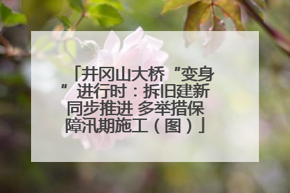 井冈山大桥“变身”进行时：拆旧建新同步推进 多举措保障汛期施工（图）