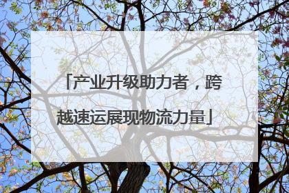 产业升级助力者，跨越速运展现物流力量