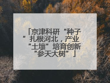京津科研“种子”扎根河北，产业“土壤”培育创新“参天大树”