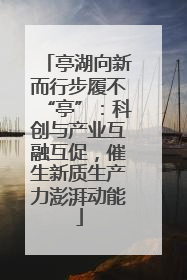 亭湖向新而行步履不“亭”：科创与产业互融互促，催生新质生产力澎湃动能