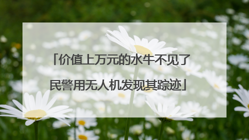 价值上万元的水牛不见了 民警用无人机发现其踪迹