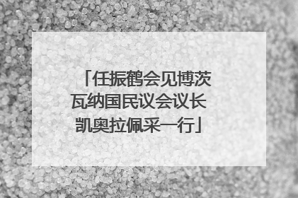 任振鹤会见博茨瓦纳国民议会议长凯奥拉佩采一行