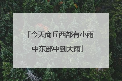 今天商丘西部有小雨 中东部中到大雨