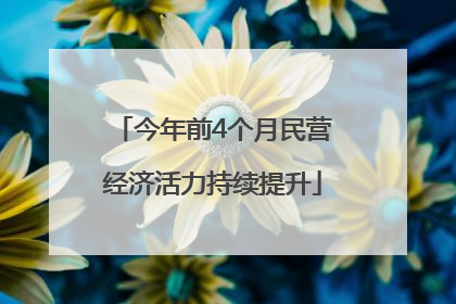 今年前4个月民营经济活力持续提升