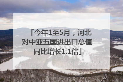 今年1至5月，河北对中亚五国进出口总值同比增长1.1倍
