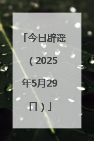 今日辟谣（2025年5月29日）