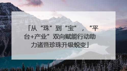 从“珠”到“宝”，“平台+产业”双向赋能行动助力诸暨珍珠升级蜕变