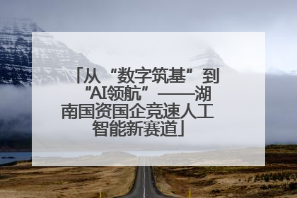 从“数字筑基”到“AI领航”——湖南国资国企竞速人工智能新赛道