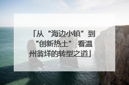 从“海边小镇”到“创新热土” 看温州翁垟的转型之道